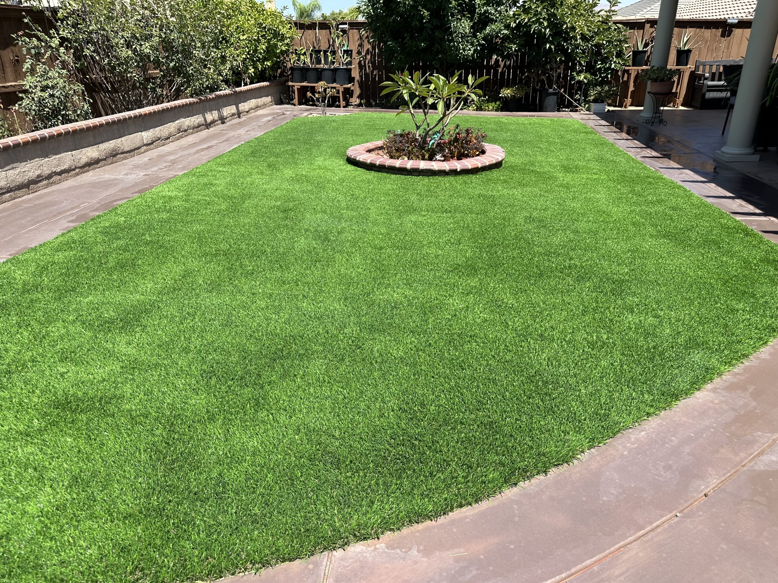 Synthetic Turf Backyard Corona